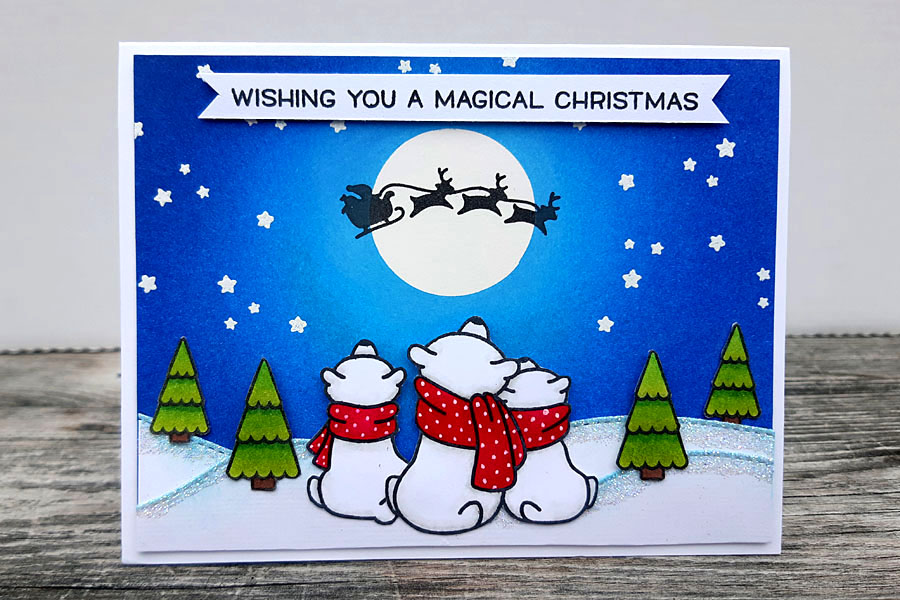 A Magical Christmas Night