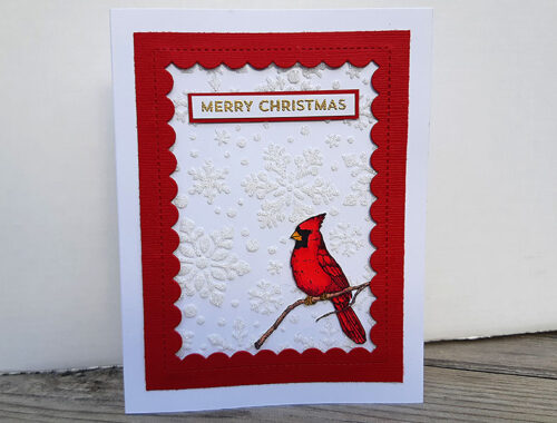 Christmas Cardinal and Glitter Gel Snowflakes